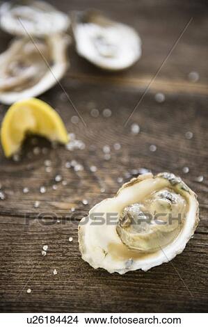 Studio shot of oysters View Large Photo Image Picture - Studio shot of oysters. Fotosearch