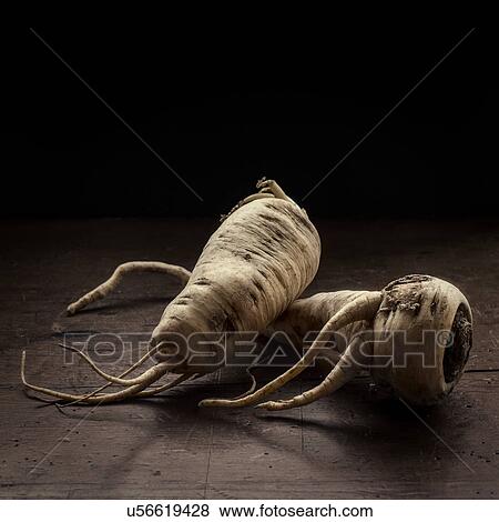 Studio shot of parsnips View Large Photo Image Stock Photo - Studio shot of parsnips. Fotosearch