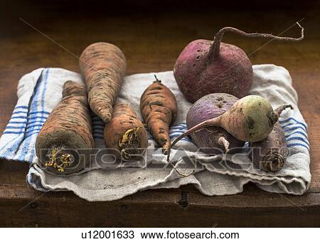 Studio shot vegetables View Large Photo Image Stock Image - Studio shot vegetables. Fotosearch