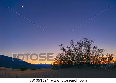 Picture - Sunset with moon, Mesquite Dunes. Fotosearch