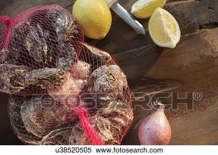 View of oysters and lemons View Large Photo Image Stock Photography - View of oysters and lemons. Fotosearch