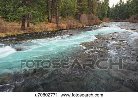 Stock Image - View of wilderness, Metolius River. Fotosearch