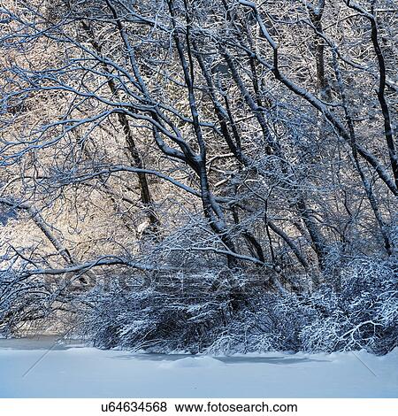Stock Photo - Winter in Central Park. Fotosearch