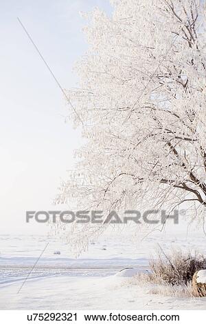 Winter landscape View Large Photo Image Stock Image - Winter landscape. Fotosearch