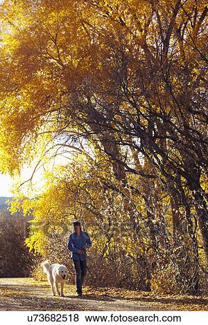 Stock Photo - Woman walking her dog in forest. Fotosearch