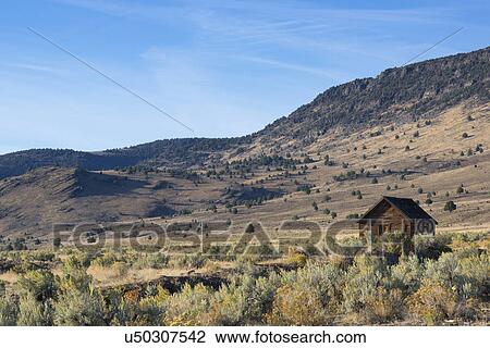 Stock Image - Wooden hut on prairie, Steen's Mountain. Fotosearch