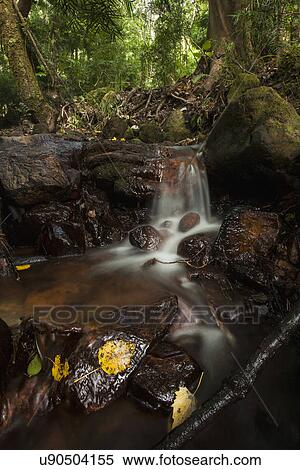 Stock Photography - Blurred motion forest waterfall with autumn leaves on rocks. Fotosearch