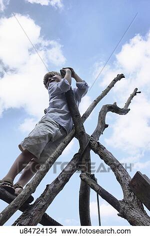 Picture - Boy climbing branch structure. Fotosearch