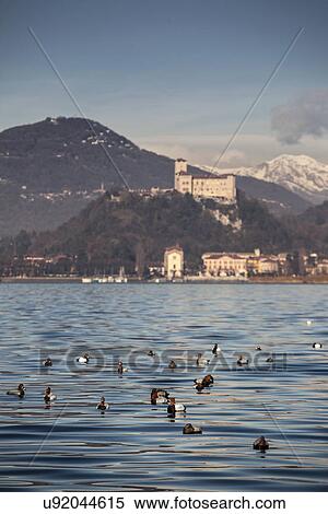 Stock Photography - Castello di Angera, with ducks swimming on Lake Maggiore, Italy. Fotosearch