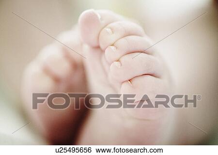 Close up of 4 month old baby boys feet View Large Photo Image Stock Photograph - Close up of 4 month old baby boys feet. Fotosearch
