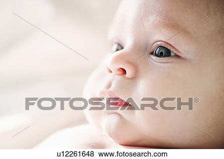 Close up of alert baby boy View Large Photo Image Stock Photo - Close up of alert baby boy. Fotosearch