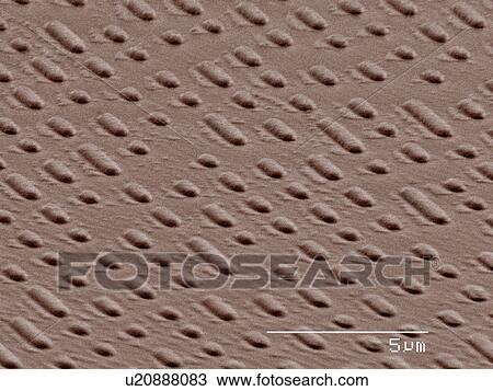 Coloured SEM of CD code View Large Photo Image Stock Image - Coloured SEM of CD code. Fotosearch