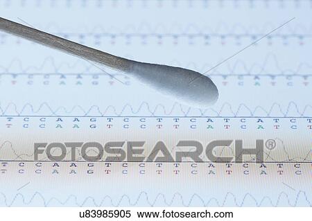 Cotton swab with saliva sample over the screen of a tablet computer that displays results of automated DNA sequencing View Large Photo Image Stock Photography - Cotton swab with saliva sample over the screen of a tablet computer that displays results of automated DNA sequencing. Fotosearch