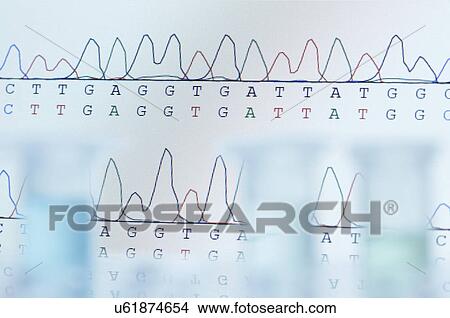 DNA sequencing. Computer monitor displaying results of automated DNA sequencing with defocused microcentrifuge tubes in the front View Large Photo Image Picture - DNA sequencing. Computer monitor displaying results of automated DNA sequencing with defocused microcentrifuge tubes in the front. Fotosearch