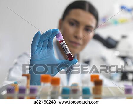 Doctor preparing to view blood sample under microscope in laboratory for medical testing View Large Photo Image Stock Photo - Doctor preparing to view blood sample under microscope in laboratory for medical testing. Fotosearch