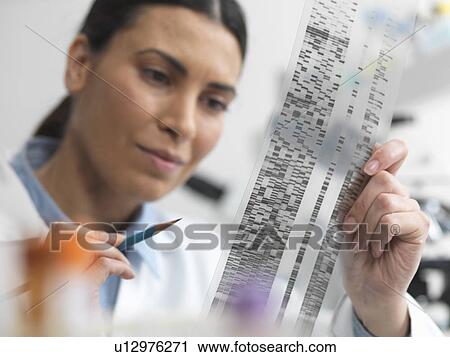 Female scientist examining DNA gel in laboratory for genetic research View Large Photo Image Stock Image - Female scientist examining DNA gel in laboratory for genetic research. Fotosearch