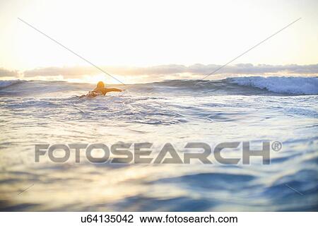 Female surfer swimming out to waves on surfboard, Sydney, Australia View Large Photo Image Stock Image - Female surfer swimming out to waves on surfboard, Sydney, Australia. Fotosearch