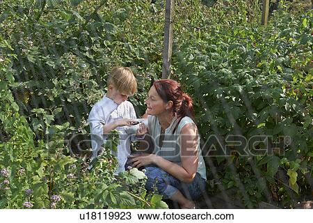 Stock Image - Mother and son berry-picking. Fotosearch
