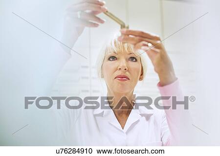 Pharmacist measuring medicines for prescription in pharmacy View Large Photo Image Stock Image - Pharmacist measuring medicines for prescription in pharmacy. Fotosearch