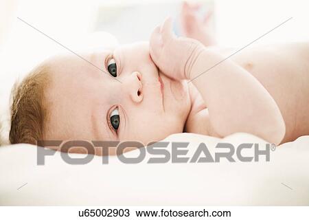 Portrait of baby boy 4 months old View Large Photo Image Stock Image - Portrait of baby boy 4 months old. Fotosearch