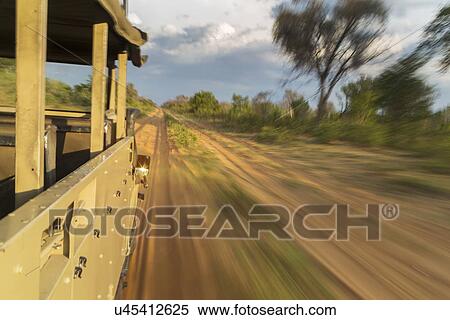Safari truck speeding along dirt road, Kasane, Chobe National Park, Botswana, Africa View Large Photo Image Stock Photography - Safari truck speeding along dirt road, Kasane, Chobe National Park, Botswana, Africa. Fotosearch