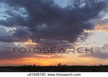 Stock Image - Silhouetted landscape at sunset, Kasane, Chobe National Park, Botswana, Africa. Fotosearch
