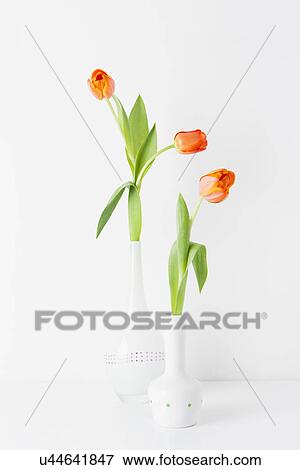 Stock Photo - Still life of two vases and orange tulips. Fotosearch