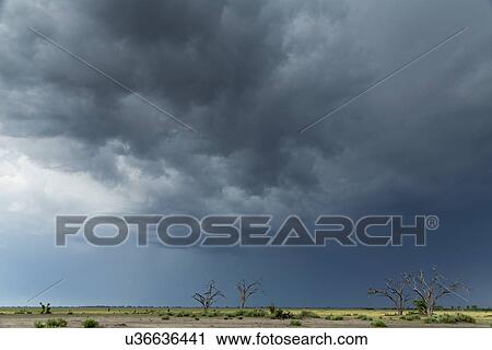 Stock Image - Storm clouds over landscape, Kasane, Chobe National Park, Botswana, Africa. Fotosearch