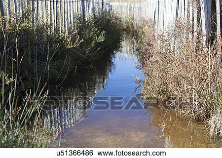 Stock Photograph - Stream. Fotosearch