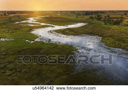 Sunset on Okavango Delta, Chobe National Park, Botswana, Africa View Large Photo Image Stock Image - Sunset on Okavango Delta, Chobe National Park, Botswana, Africa. Fotosearch
