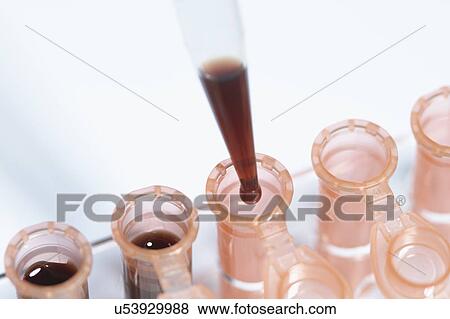 Stock Photo - Synthetic Blood. Blood testing. A precision micropipette is used to fill microcentrifuge tubes with blood to be tested. Pipettes are commonly used in chemical and biological laboratory research. Fotosearch