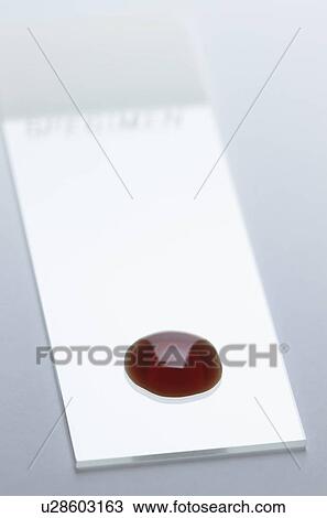 Stock Image - (Synthetic) Blood drop on a microscope slide. Fotosearch
