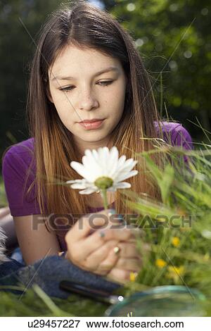 Teenage girl lying in grass looking at a daisy View Large Photo Image Stock Photo - Teenage girl lying in grass looking at a daisy. Fotosearch