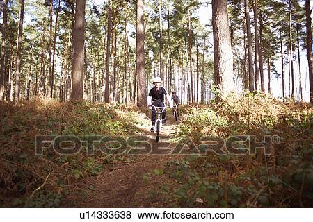Twin brothers racing BMX bikes in forest View Large Photo Image Stock Photo - Twin brothers racing BMX bikes in forest. Fotosearch
