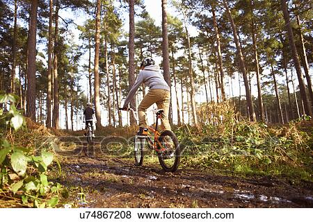 Twin brothers racing BMX bikes in muddy forest View Large Photo Image Stock Photo - Twin brothers racing BMX bikes in muddy forest. Fotosearch