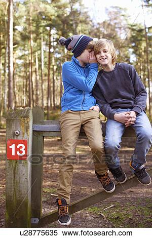 Stock Photography - Twin brothers sitting and whispering on gate in forest. Fotosearch