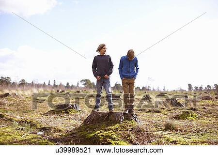 Twin brothers standing on tree stump in forest clearing View Large Photo Image Stock Image - Twin brothers standing on tree stump in forest clearing. Fotosearch