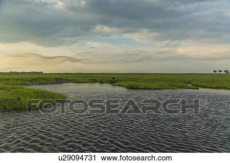 Stock Image - Water and grassland, Kasane, Chobe National Park, Botswana, Africa. Fotosearch