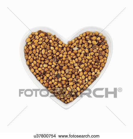 Coriander seeds View Large Photo Image Picture - Coriander seeds. Fotosearch
