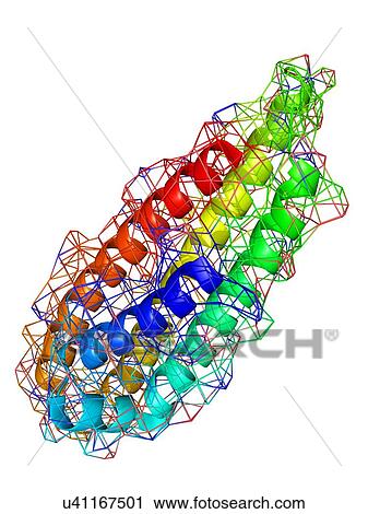 Stock Image - Erythropoietin hormone molecule. Fotosearch