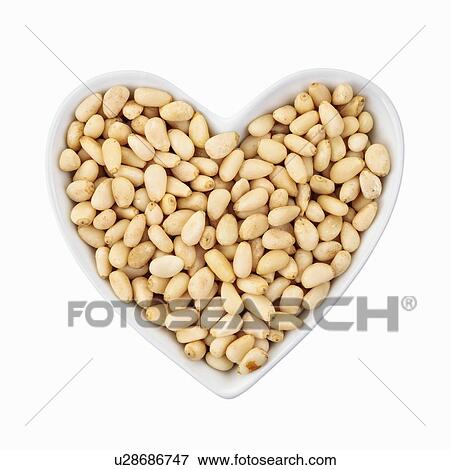 Pine nuts View Large Photo Image Stock Photo - Pine nuts. Fotosearch
