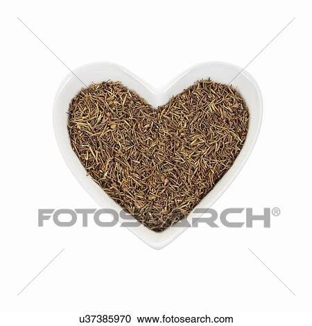 Stock Image - Thyme. Fotosearch