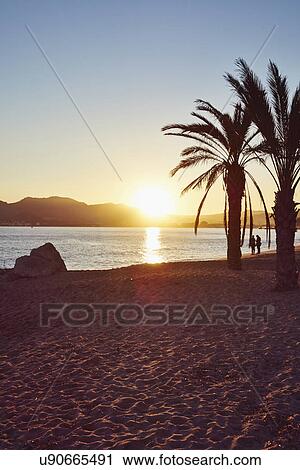 Beach scene, French Riviera, Cannes, France View Large Photo Image Stock Image - Beach scene, French Riviera, Cannes, France. Fotosearch