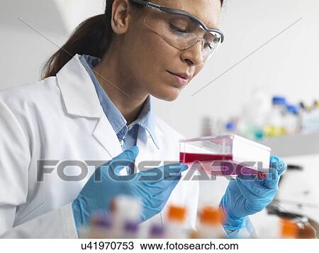 Stock Image - Cell biologist holding a flask containing stem cells, cultivated in red growth medium, to investigate diseases. Fotosearch
