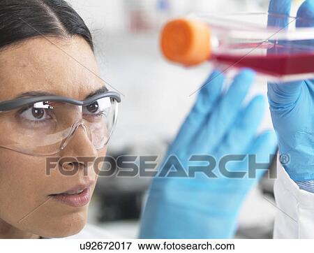 Stock Photo - Close up of cell biologist holding a flask containing stem cells, cultivated in red growth medium, to investigate disease. Fotosearch