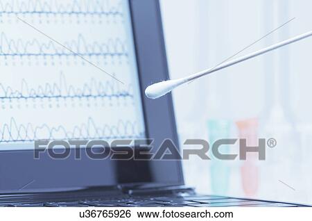 Stock Photograph - Cotton swab with saliva in front of a laptop screen that displays results of automated DNA sequencing. Fotosearch