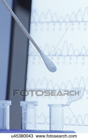 Stock Image - Cotton swab with saliva over microcentrifuge tubes. Fotosearch