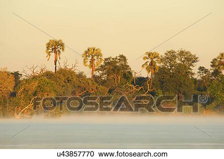 Dawn on the Zambezi River, Simonga, Livingstone, Zambia View Large Photo Image Stock Image - Dawn on the Zambezi River, Simonga, Livingstone, Zambia. Fotosearch