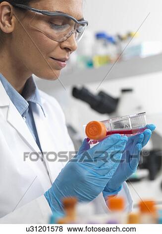Stock Photo - Female cell biologist holding a flask containing stem cells, cultivated in red growth medium, to investigate disease. Fotosearch