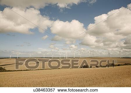 Field landscape with wind turbines View Large Photo Image Stock Photo - Field landscape with wind turbines. Fotosearch